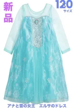 アナと雪の女王　アナ雪　ドレス　コスチューム　エルサ　120