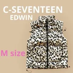 Item thumbnail for item 8ed5f4a9-d027-4415-ab72-fd3caef2687d