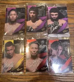 RIZINウエハース'25 まとめ売り　6枚セット