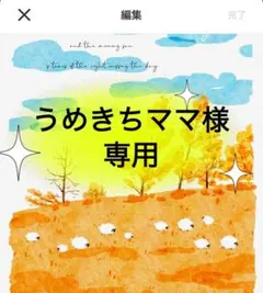 うめきちママ様専用　2点