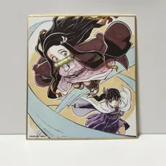 鬼滅の刃 色紙 禰豆子 栗花落カナヲ