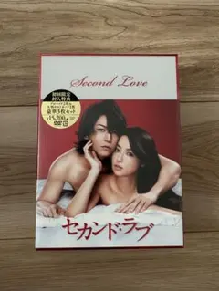 セカンドラブ DVD【亀梨和也】 - メルカリ