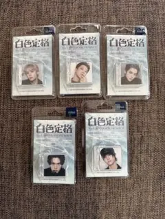 WayV 白色定格　SMini コンプ　セット　eternal white