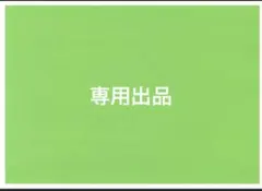 専用出品