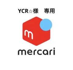 エルベシャプリエ 707C 別注 トートバッグ マスティック×シルバー
