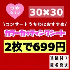 赤　艶あり うちわ用 規定外 対応サイズ カッティングシート 2枚