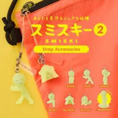 SMISKI Strap Accessories Series 2 シークレット