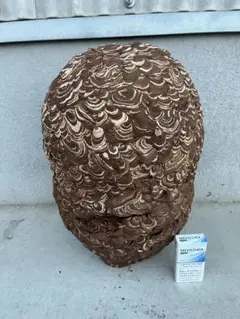 2026年最新】ハチの人気アイテム - メルカリ