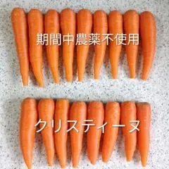 ★栽培期間中農薬不使用★ 人参 クリスティーヌのサムネイル
