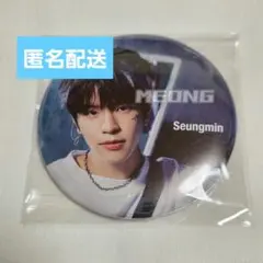 StrayKids スンミン 缶バッジ ALL IN 未開封