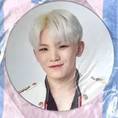 2025年最新】グループ名：SEVENTEEN うちわの人気アイテム
