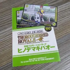 週刊プレイボーイ　特別付録　特製プロモーションカード　ヒノデマキバオー