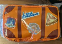 東京ディズニーリゾート バケーションパッケージ ポーチ＆ミニタオルセット