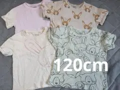 next うさぎ柄　Tシャツ4枚セット　120cm ⑤のサムネイル