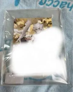 Item thumbnail for item 85d40b05-6978-495c-8e99-6df475e71c8a