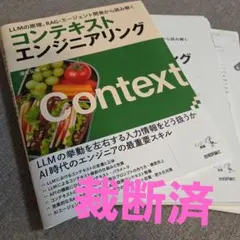 ★裁断済★　LLMの原理、RAG・エージェント開発から読み解く コンテキストエン