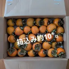 2026年最新】渋柿 干し柿用 無農薬の人気アイテム - メルカリ