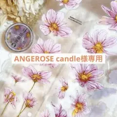 Item thumbnail for item 0956b782-a995-49b8-9df1-60489504ceae