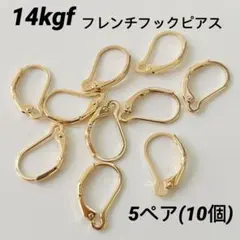 14kgf フレンチフックピアス 5ペア（10個）