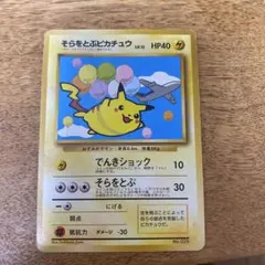 そらをとぶピカチュウ_ANA 「ジェットでゲットだ！Wチャンス