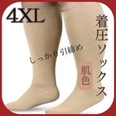 Item thumbnail for item 0371f3e2-de9a-404f-81ab-97a9371d3ce1