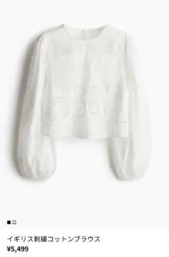 h&m イギリス刺繍コットンブラウス　レース　白ホワイト　クロップド丈　M