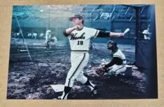 HANSHIN TIGERSグランドコート 野村克也監督モデル 2025年最新】野村克也 ユニフォームの人気アイテム - メルカリ
