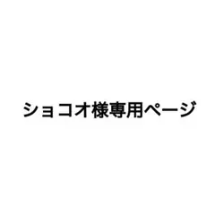 専用ページ