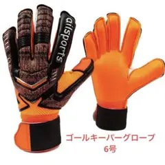 キーパーグローブ 6