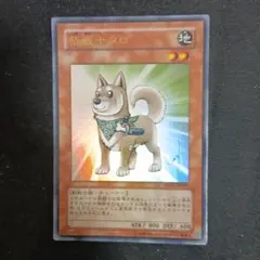 遊戯王 柴戦士タロ YAP1-JP009