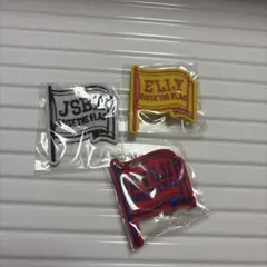 三代目ピンバッチ