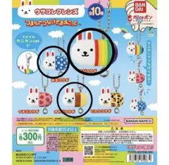 ウサコレフレンズ　つまんでつなげてますこっと　３点