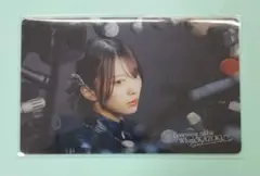 櫻坂46 森田ひかる　Lonesome rabbit クリアカードのサムネイル