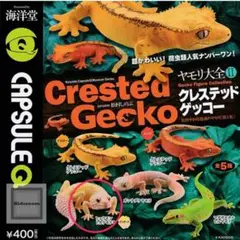 ゲッコーの本 2025年最新】クレステッドゲッコー 本の人気アイテム - メルカリ