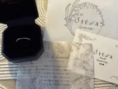 siena シエナ K18 19石 ダイヤモンド ハーフエタニティリング 8号のサムネイル