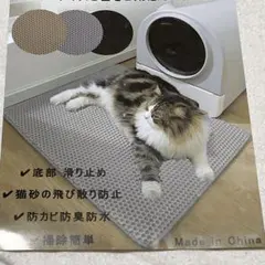 Item thumbnail for item 99ab332d-6f11-40e4-a648-2fe5126da91a