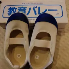 Item thumbnail for item 6711a8ea-2a35-4e57-a149-d02ef5879e38