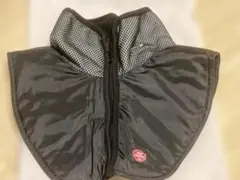 Item thumbnail for item 66baafe6-9014-4400-8dd0-08a84fdcad72