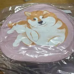 Item thumbnail for item 6880d550-a96b-4d61-a57c-4f7d8f8bac22