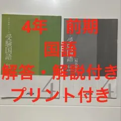 名進研　5年　完全制覇シリーズ　国算理社 2026年最新】名進研 完全制覇の人気アイテム - メルカリ