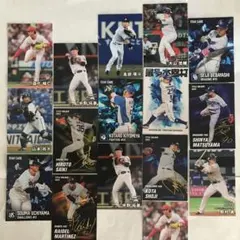 2026プロ野球カード まとめ売り 14種類16枚セット