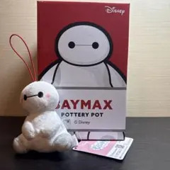 BAYMAX POTTERY POT