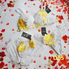 サルートD65　3点セット