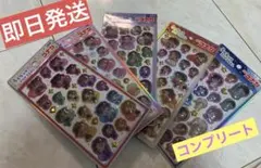 み*ま様 名探偵コナン　コンプリート　うるちゅる　5枚セット