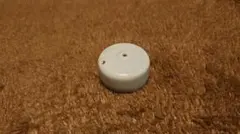 Item thumbnail for item e59171c6-f299-4321-8686-9b38485c6d1e