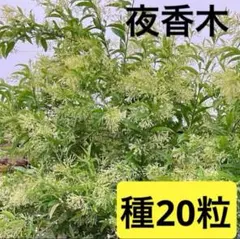 まりまり様 リクエスト 2点 まとめ商品