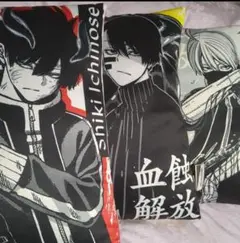 新品未使用】桃源暗鬼 描き起こしリバーシブルBIGクッション 2種セット