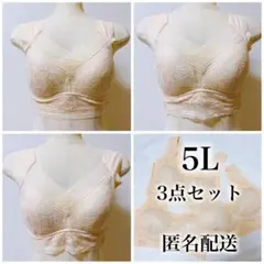 5L ノンワイヤーブラ シームレスブラ ベージュ 3点セット