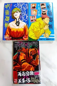 呪術廻戦 初版 帯付き 特装版 豪華版 特典 非売品 未開封 呪術廻戦 初版 帯付き 特装版 豪華版 特典 非売品 未開封 極