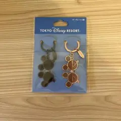 東京ディズニーリゾート キーチェーン 2個セット
